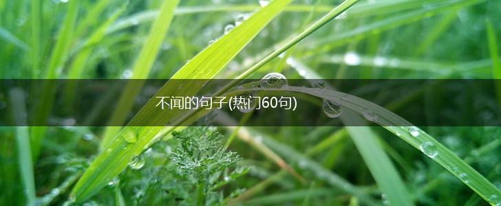 不闻的句子(热门60句),第1张