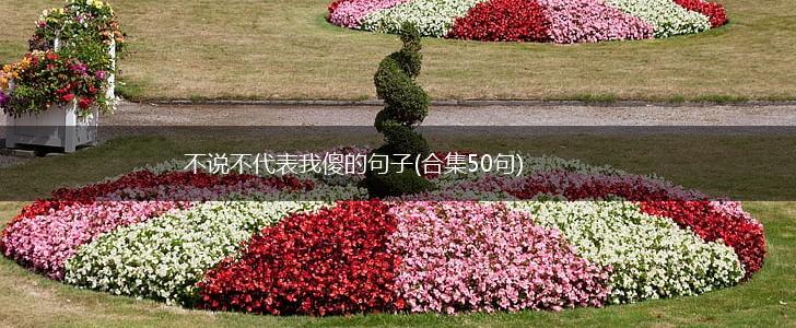 不说不代表我傻的句子(合集50句),第1张