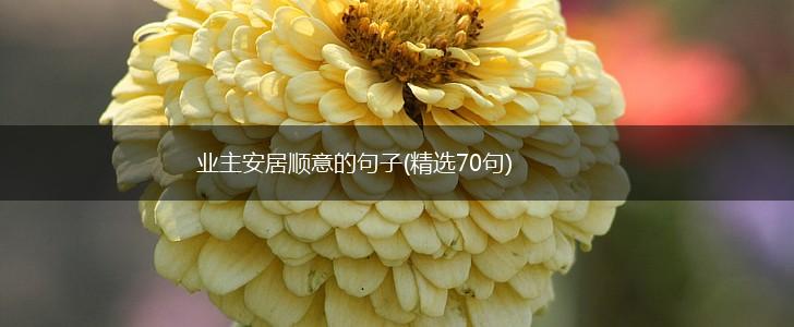 业主安居顺意的句子(精选70句),第1张