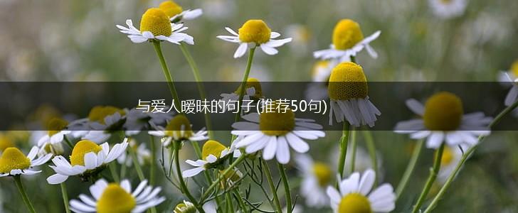 与爱人暧昧的句子(推荐50句),第1张