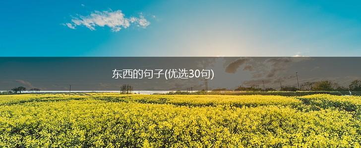 东西的句子(优选30句),第1张