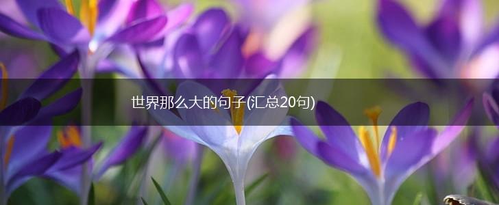 世界那么大的句子(汇总20句),第1张