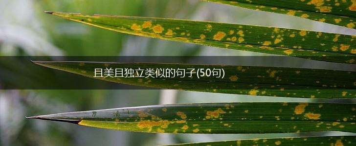 且美且独立类似的句子(50句),第1张