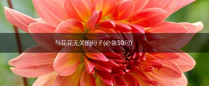 与花花无关的句子(必备50句),第1张