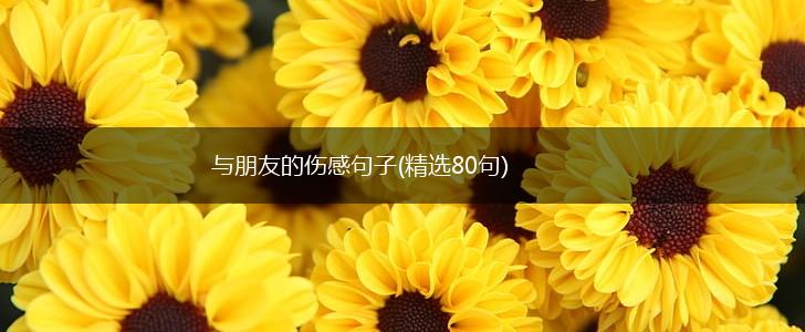 与朋友的伤感句子(精选80句),第1张