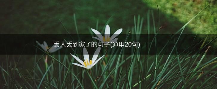 丢人丢到家了的句子(通用20句),第1张