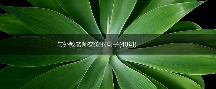 与外教老师交流的句子(40句),第1张