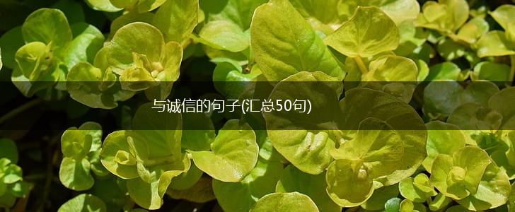 与诚信的句子(汇总50句),第1张