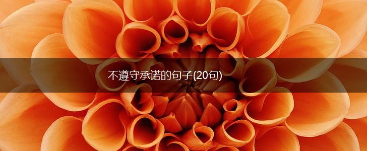 不遵守承诺的句子(20句),第1张