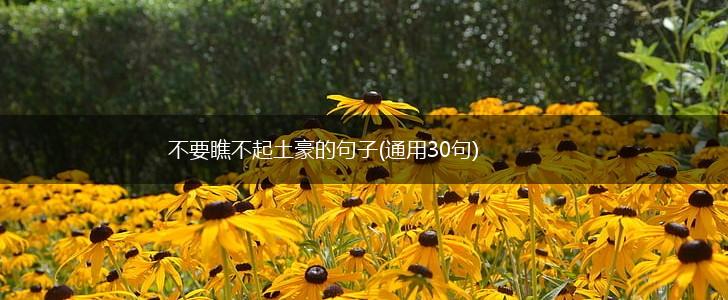 不要瞧不起土豪的句子(通用30句),第1张