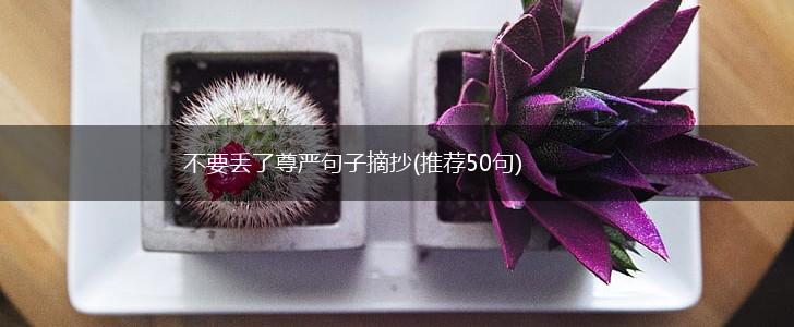 不要丢了尊严句子摘抄(推荐50句),第1张