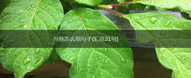 与他怎么组句子(汇总31句),第1张