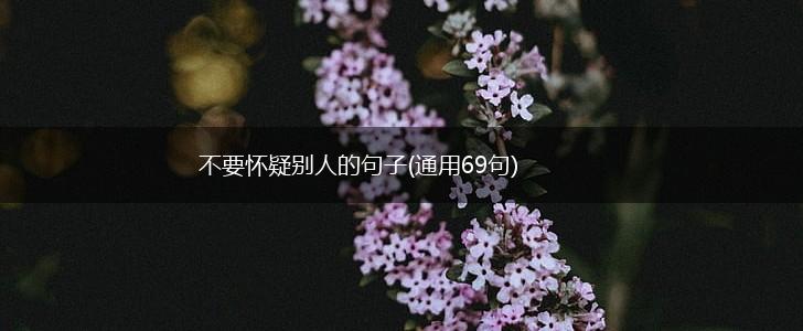 不要怀疑别人的句子(通用69句),第1张