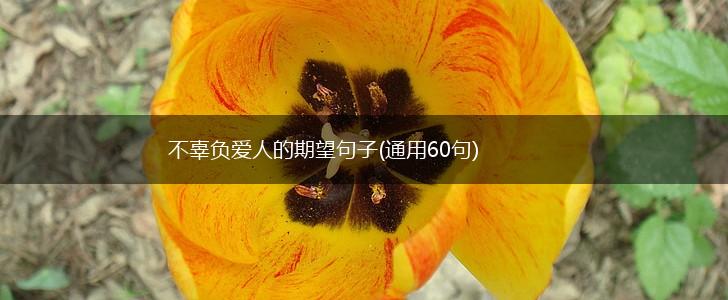 不辜负爱人的期望句子(通用60句),第1张