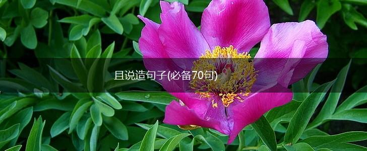 且说造句子(必备70句),第1张