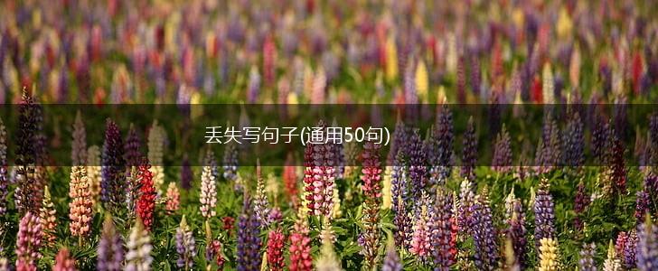 丢失写句子(通用50句),第1张