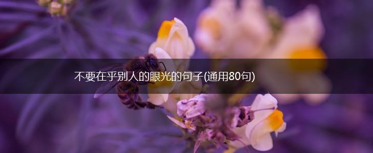 不要在乎别人的眼光的句子(通用80句),第1张