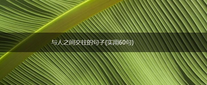 与人之间交往的句子(实用60句),第1张