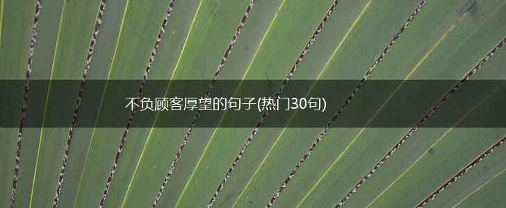 不负顾客厚望的句子(热门30句),第1张