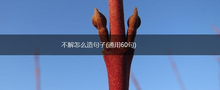 不解怎么造句子(通用60句),第1张