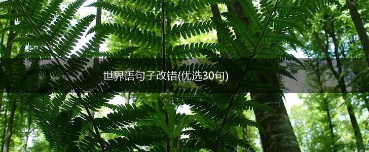 世界语句子改错(优选30句),第1张