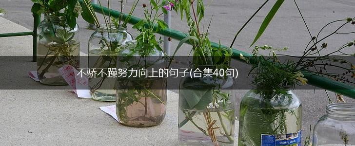 不骄不躁努力向上的句子(合集40句),第1张
