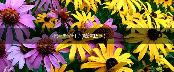 业务迭代句子(精选15句),第1张