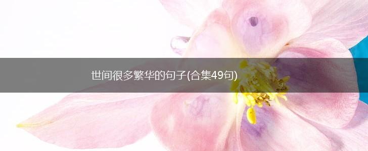 世间很多繁华的句子(合集49句),第1张