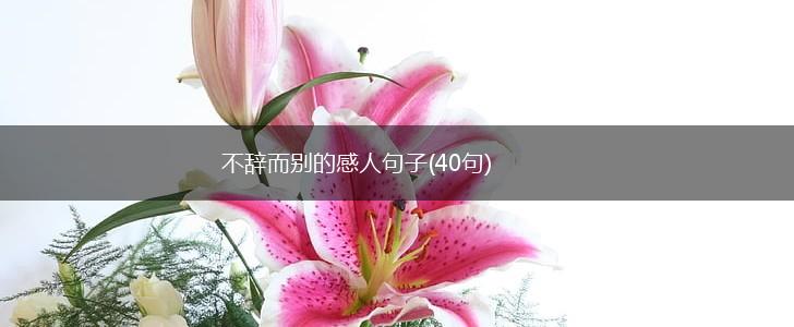 不辞而别的感人句子(40句),第1张