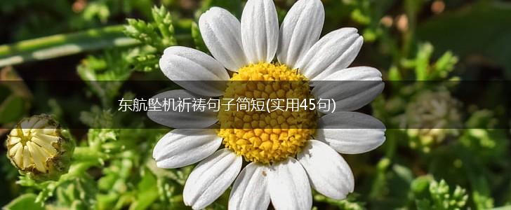 东航坠机祈祷句子简短(实用45句),第1张