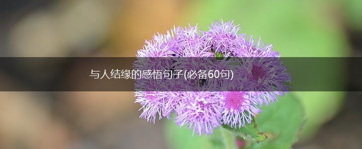 与人结缘的感悟句子(必备60句),第1张