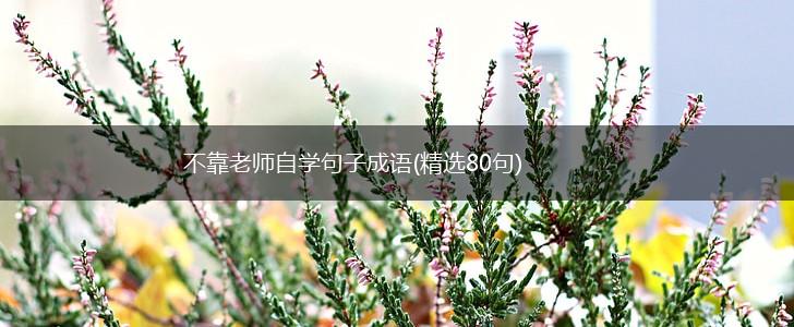 不靠老师自学句子成语(精选80句),第1张