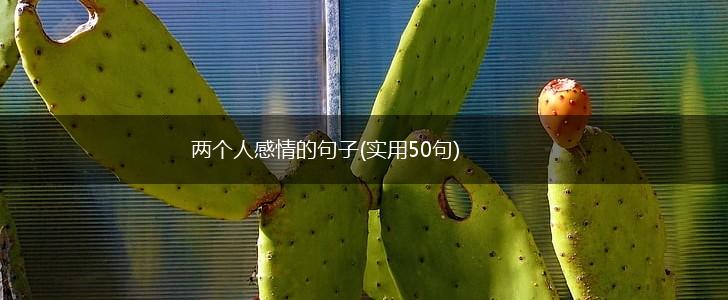 两个人感情的句子(实用50句),第1张