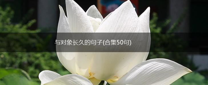 与对象长久的句子(合集50句),第1张