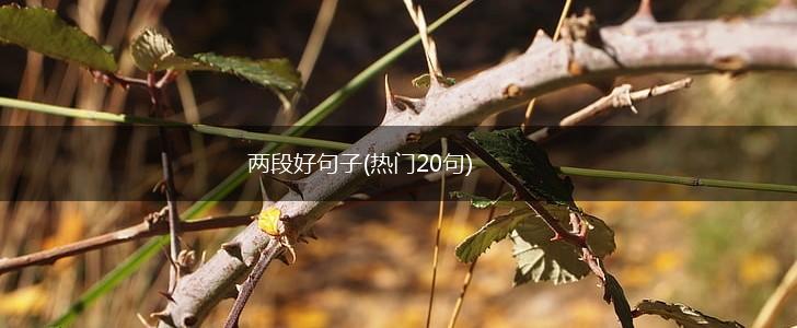 两段好句子(热门20句),第1张