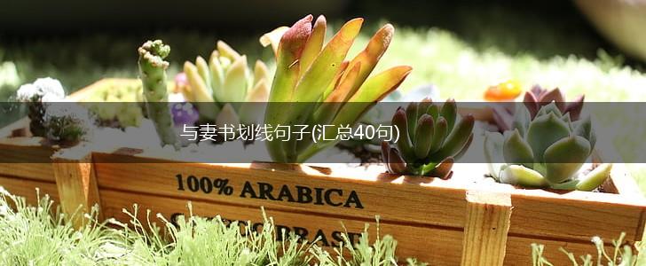 与妻书划线句子(汇总40句),第1张