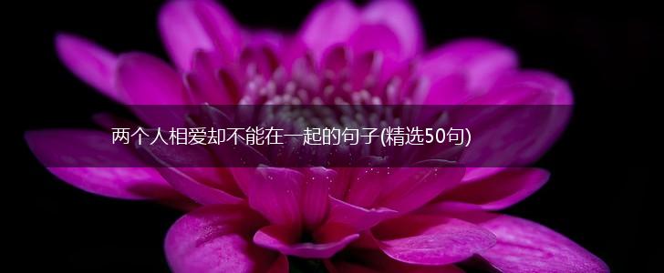 两个人相爱却不能在一起的句子(精选50句),第1张