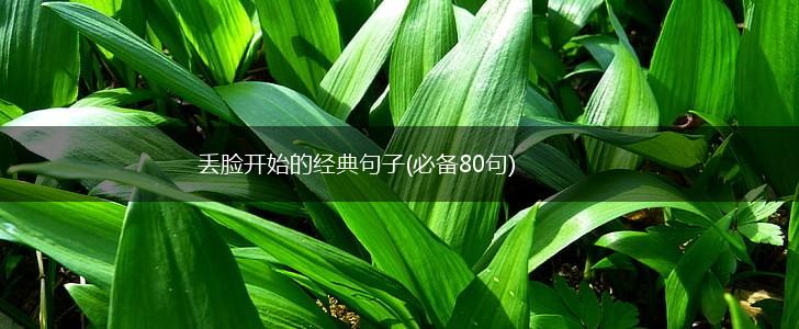 丢脸开始的经典句子(必备80句),第1张
