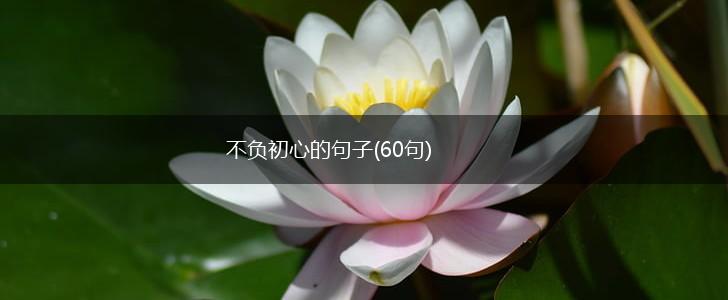 不负初心的句子(60句),第1张