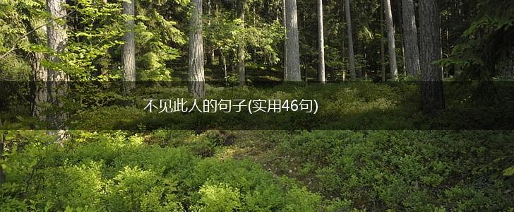 不见此人的句子(实用46句),第1张