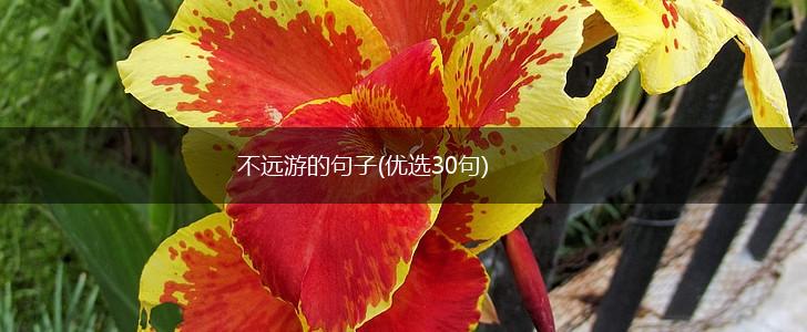 不远游的句子(优选30句),第1张