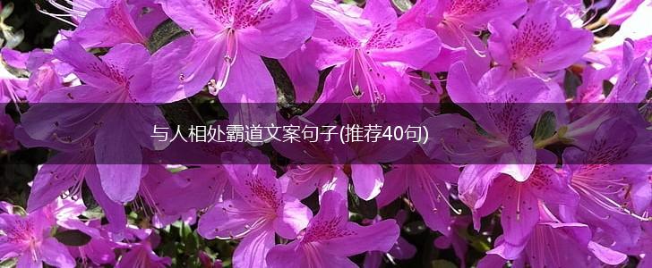 与人相处霸道文案句子(推荐40句),第1张