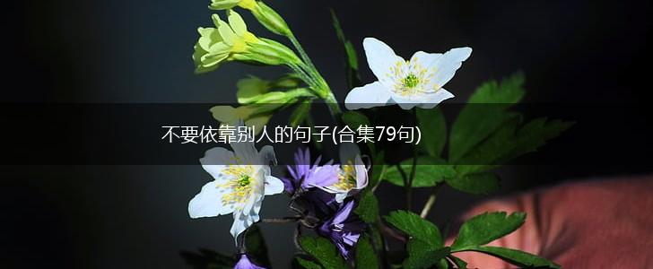 不要依靠别人的句子(合集79句),第1张