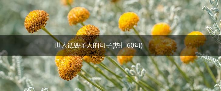 世人诋毁圣人的句子(热门60句),第1张