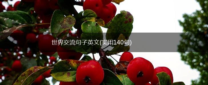 世界交流句子英文(实用140句),第1张