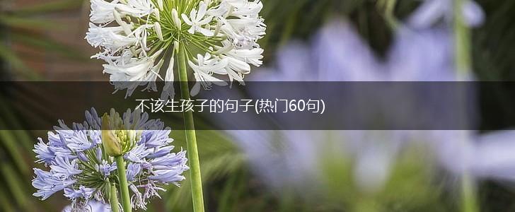 不该生孩子的句子(热门60句),第1张