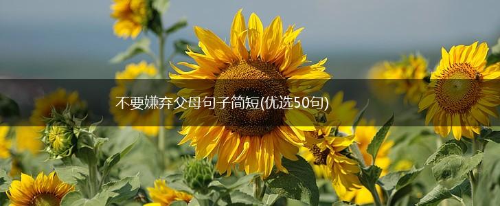 不要嫌弃父母句子简短(优选50句),第1张