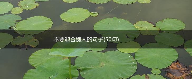 不要迎合别人的句子(50句),第1张