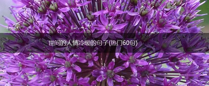 世间的人情冷暖的句子(热门60句),第1张