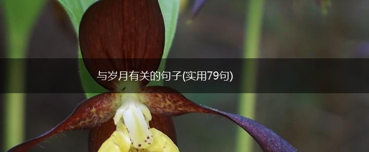 与岁月有关的句子(实用79句),第1张